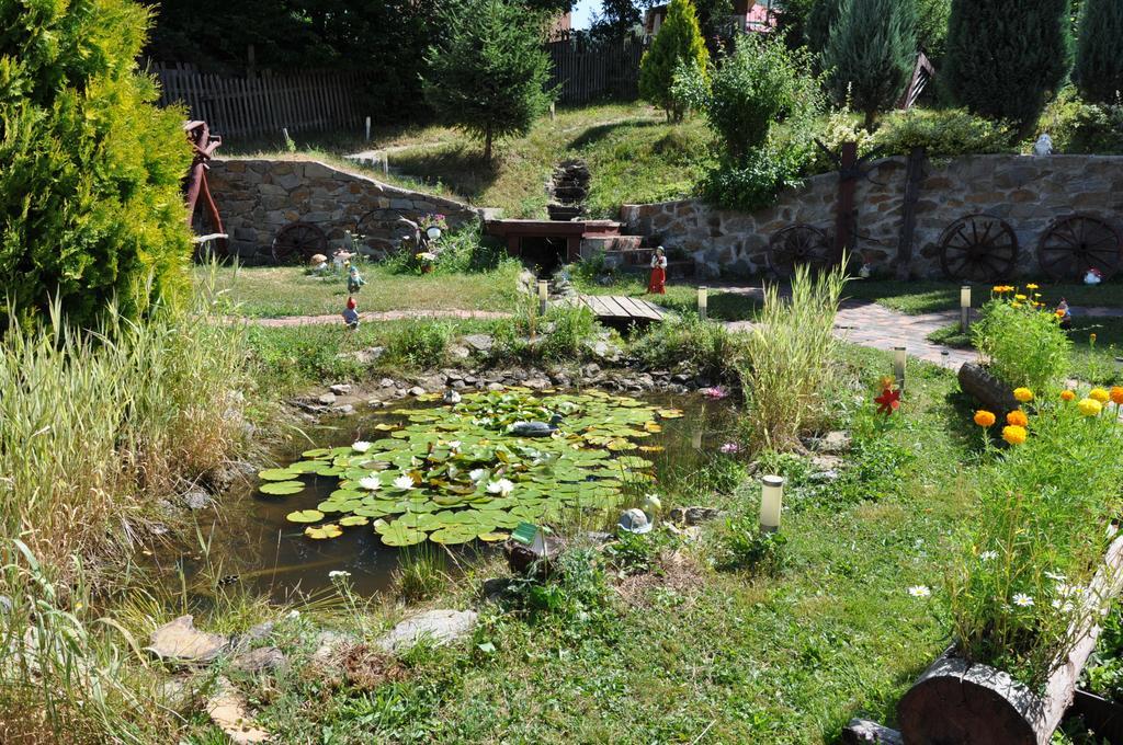 Cabana Claris Văliug Buitenkant foto