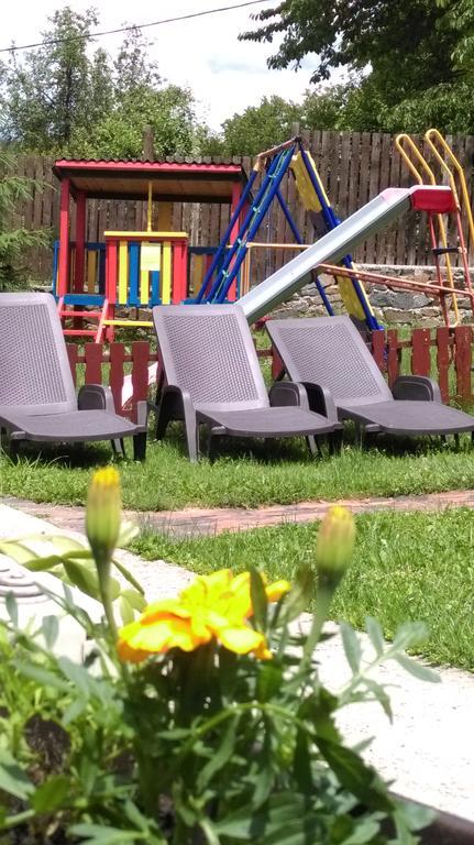 Cabana Claris Văliug Buitenkant foto